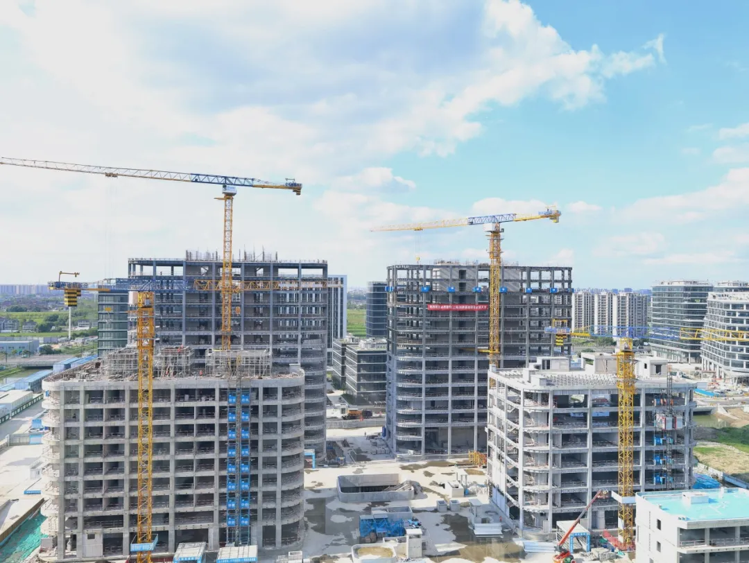 同心同向 造炬成阳 | DG视讯股份2024年第三季度动态速览