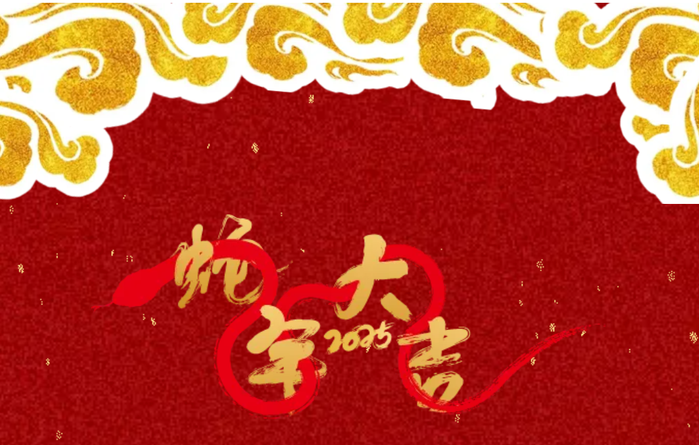 锐意突破 新征启程 | DG视讯股份2025年会盛典顺利召开